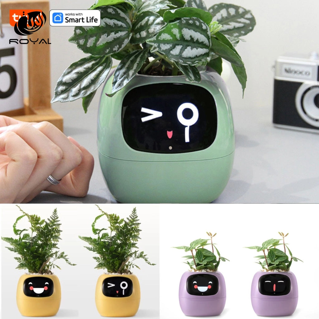 Tuya Ivy Smart Planter,Endless Fun Over 49 Rich Expressions,7 smart sensors,AI Chips Make Raising Plants Easy and Fun