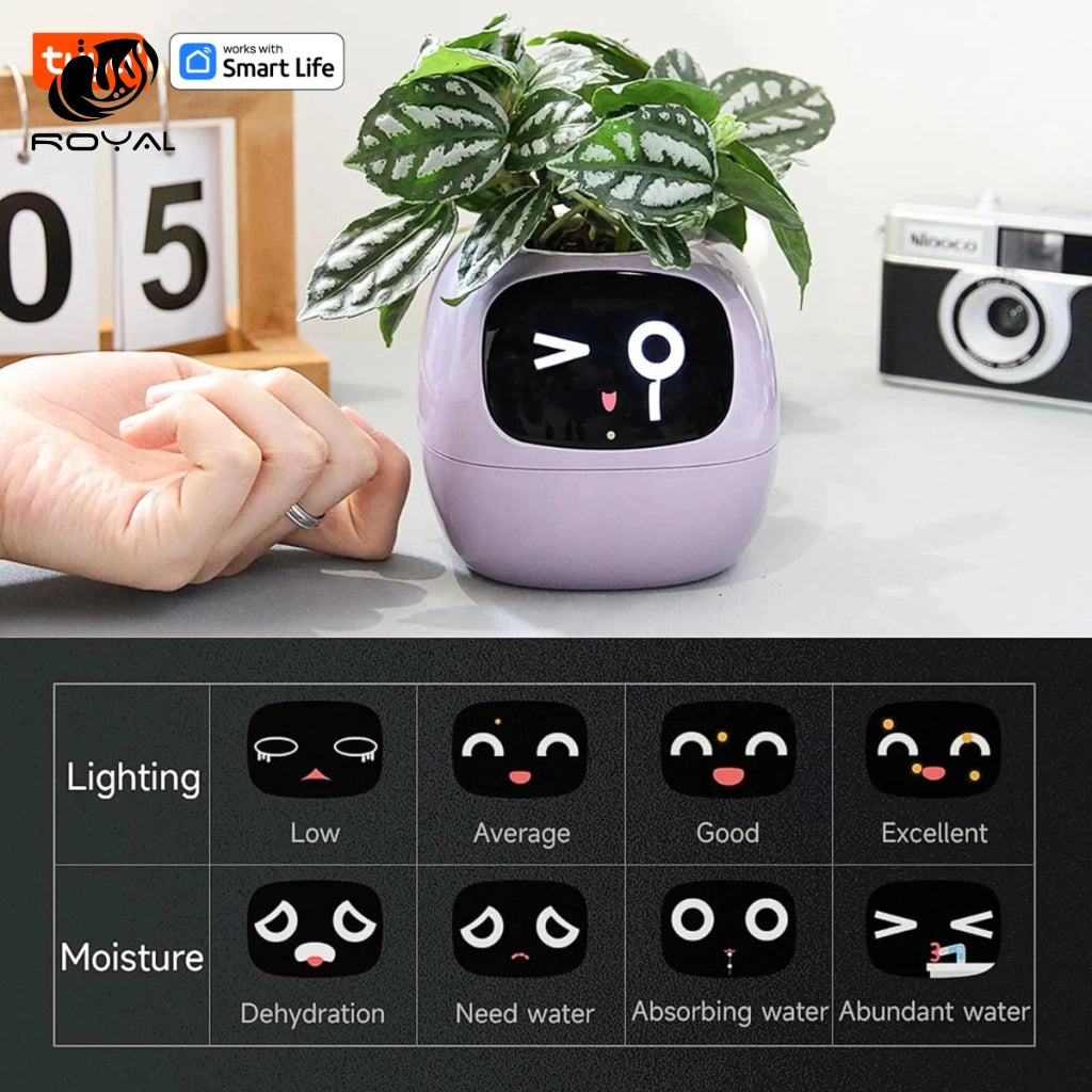 Tuya Ivy Smart Planter,Endless Fun Over 49 Rich Expressions,7 smart sensors,AI Chips Make Raising Plants Easy and Fun