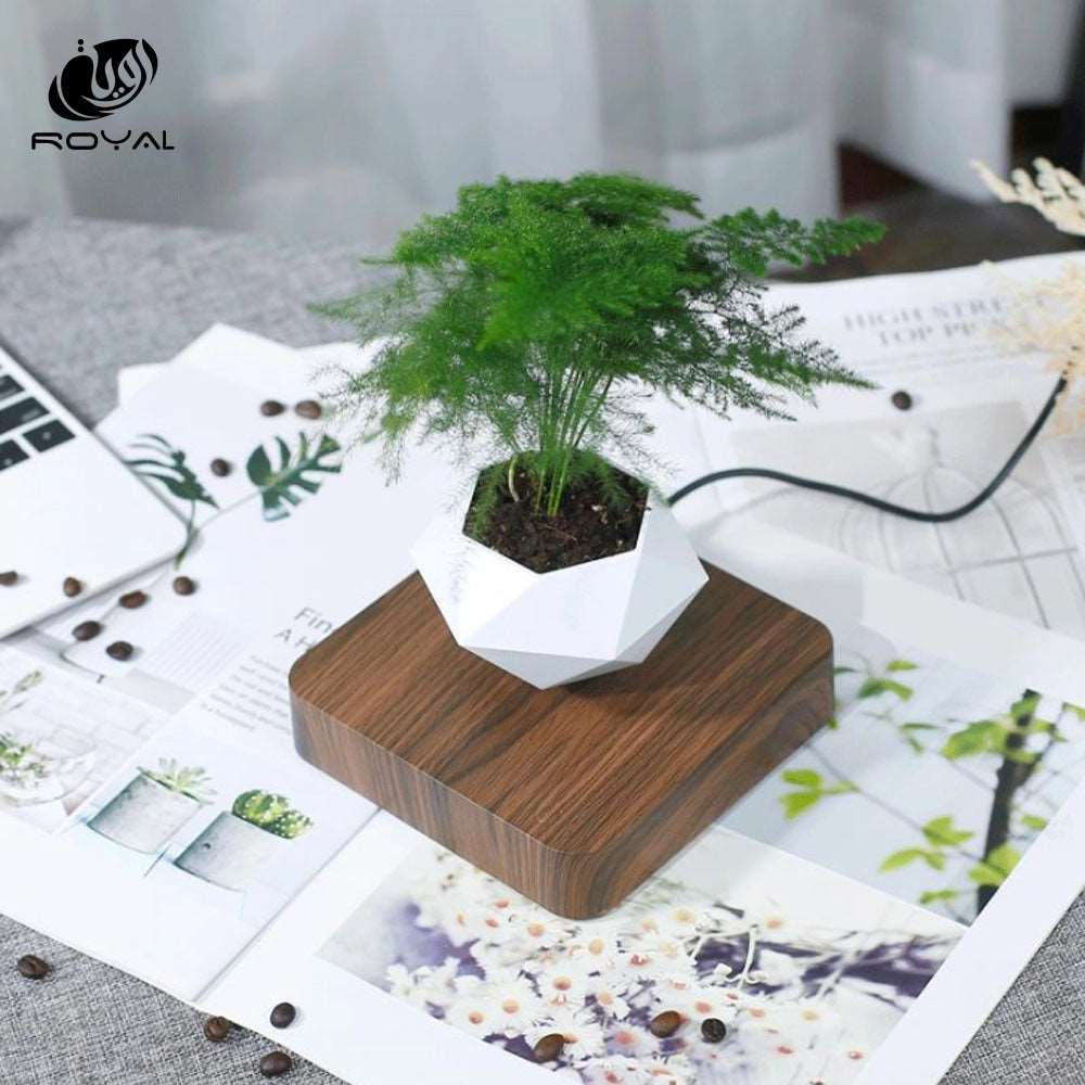 Levitating Air Bonsai Pot Rotation Flower Pot Planters Magnetic Suspension Floating Pot Potted Plant Home Without plants