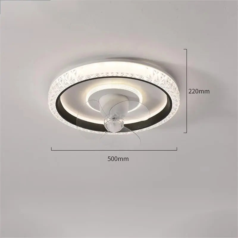 Fan Ceiling Light