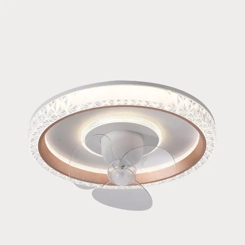 Fan Ceiling Light