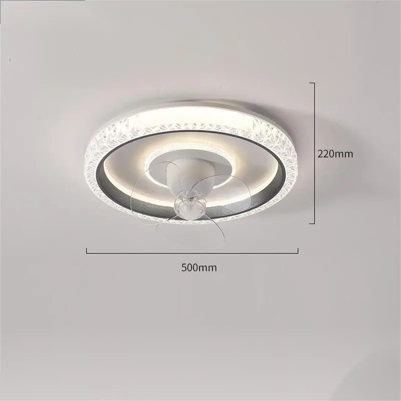 Fan Ceiling Light