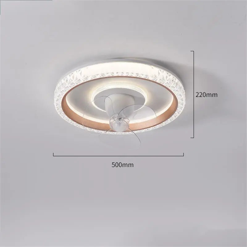 Fan Ceiling Light